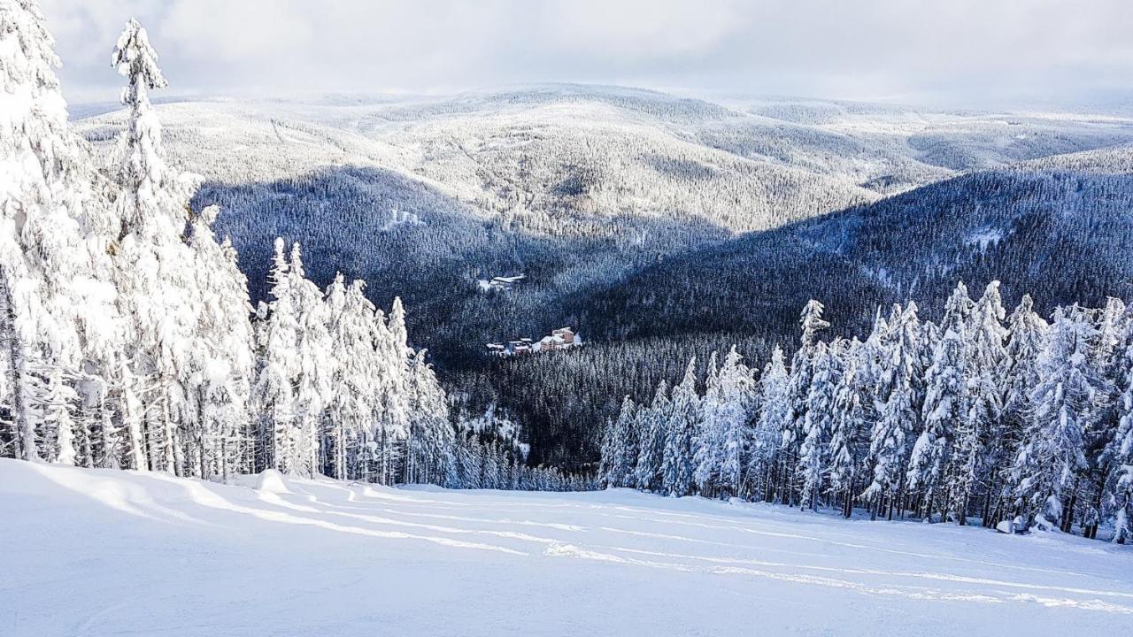 Apartment Mumlava Harrachov 1 Bagian luar foto