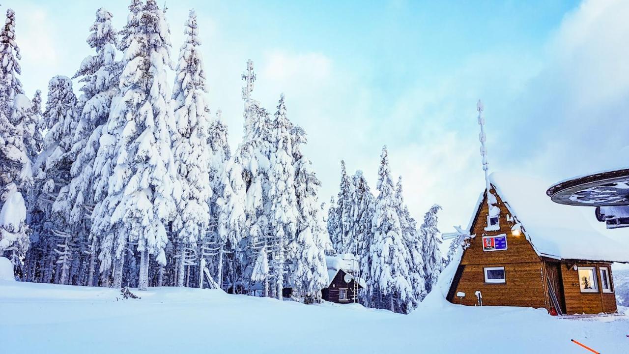 Apartment Mumlava Harrachov 1 Bagian luar foto